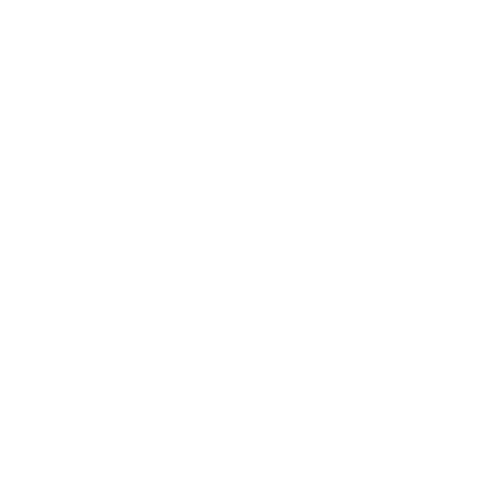 BlueLion Capital